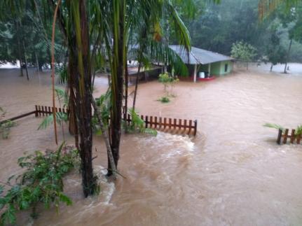 QUEDA DE ÁRVORES E ALAGAMENTOS:  Inmet tem alerta de chuvas fortes para todo Mato Gross