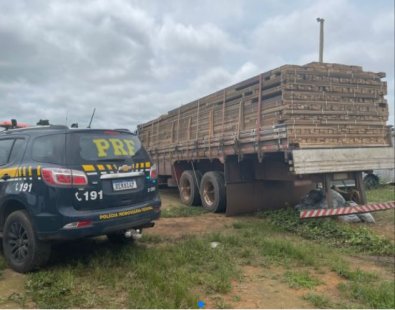PRF apreende 200m³ de madeira ilegal em MT em uma semana