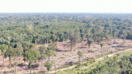 REDUZIR RESERVAS:  Deputado quer tirar MT da Amazônia Legal para aumentar produção