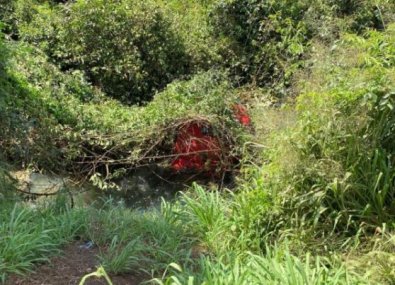 Carreta cai em rio em MT, mas motorista sai ileso