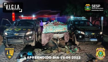 Gefron e Polícia Federal apreendem 122 kg de pasta base de cocaína em Cáceres