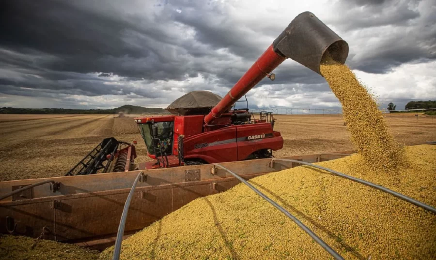 PARA ESPECIALISTAS, AMBIENTE DE PREÇOS NÃO DEVE SE REGULARIZAR TÃO CEDO NO CAMPO