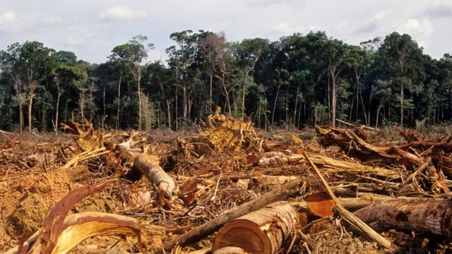 Acordo UE-Mercosul: Política ambiental brasileira é entrave