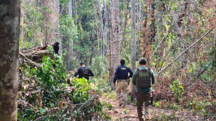 MT:  EM SARARÉ:   PF faz operação em área indígena alvo de garimpeiros há 30 anos