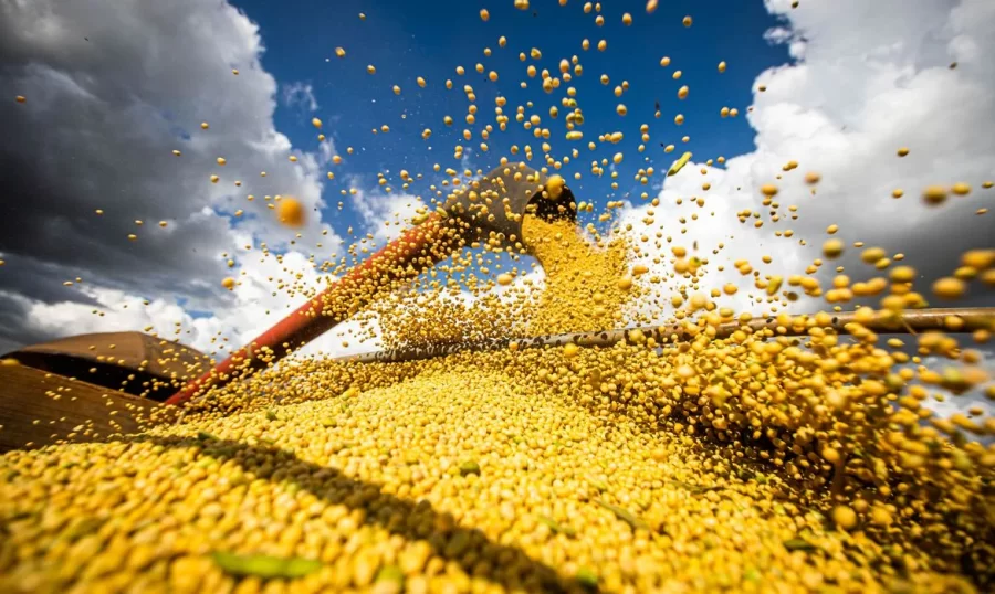 MT:  ENTRE 10 MAIORES:  Sete municípios de Mato Grosso lideram valor da produção brasileira