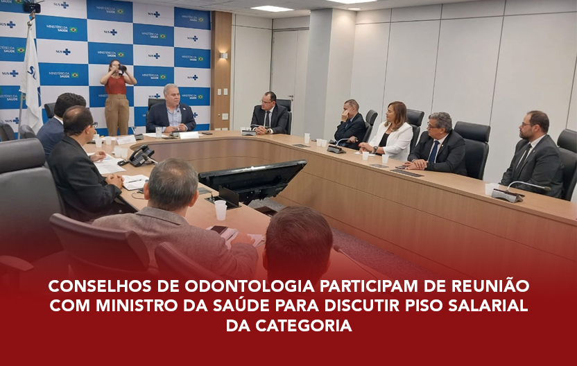 MT:  Conselhos participam de reunião com Ministro da Saúde