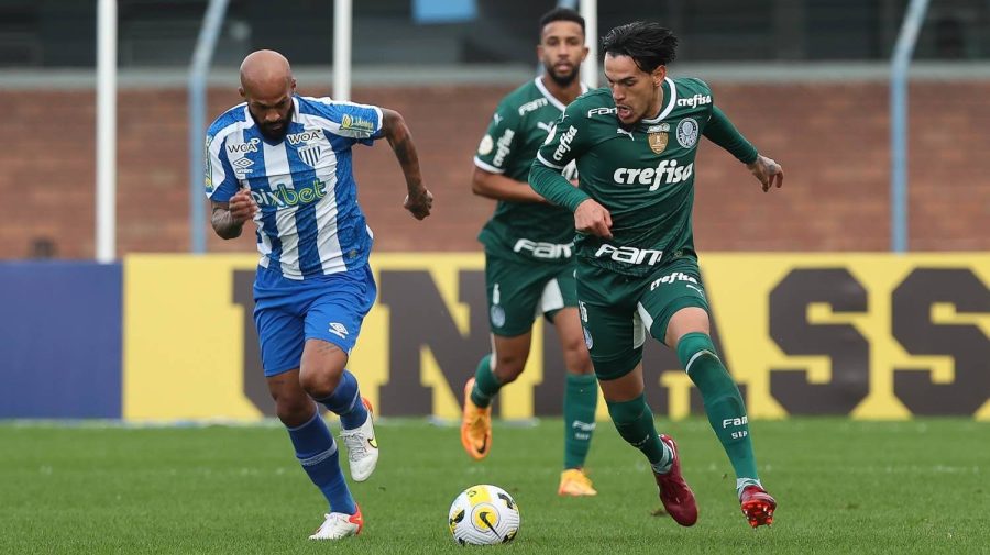 Palmeiras x Avaí: veja informações e prováveis escalações do duelo pelo Brasileirão