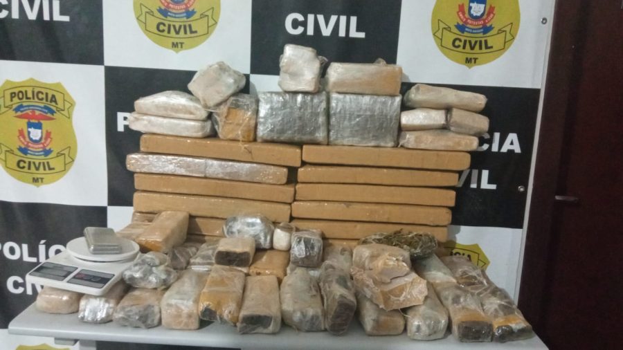 Ação da Polícia Civil apreende 50 quilos de entorpecentes em região de chácaras em Lucas do Rio Verde