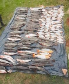 Batalhão Ambiental apreende 315 quilos de pescado irregular