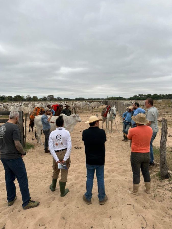 MT: Projeto piloto para conservação de onças e proteção de rebanho bovino tem início no Pantanal