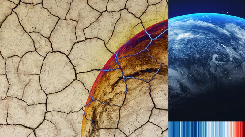 COP27: Qual a importância da Cúpula do Clima para o futuro do planeta