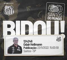 Novo técnico do Santos, Odair Hellmann é registrado no BID da CBF