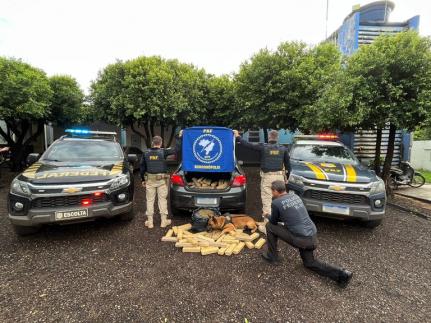 Dupla tenta fugir da PRF e é presa com 145 kg de maconha