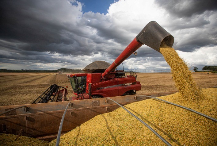 MT:  Produção de soja em Mato Grosso deve atingir novo recorde