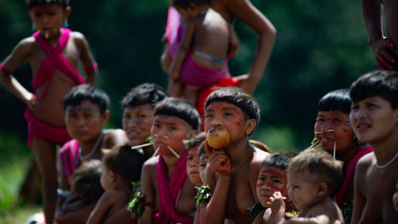 Fizemos vários alertas sobre os yanomamis ao governo, mas resposta foi insuficiente, diz representante da ONU