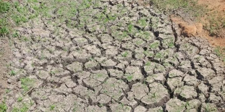 Comitiva vai ao Rio Grande do Sul para ver efeitos da seca