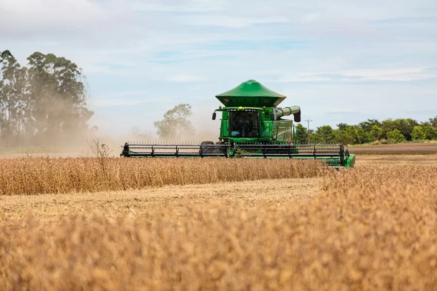 MT:  SE FOSSE UM PAÍS, MT SERIA TERCEIRO MAIOR PRODUTOR MUNDIAL DE SOJA