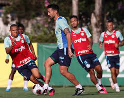 Palmeiras chega em sua sexta final de Campeonato Paulista na última década