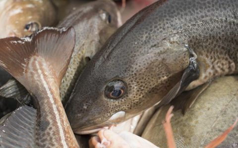 Como bacalhau virou prato típico da Sexta-Feira Santa