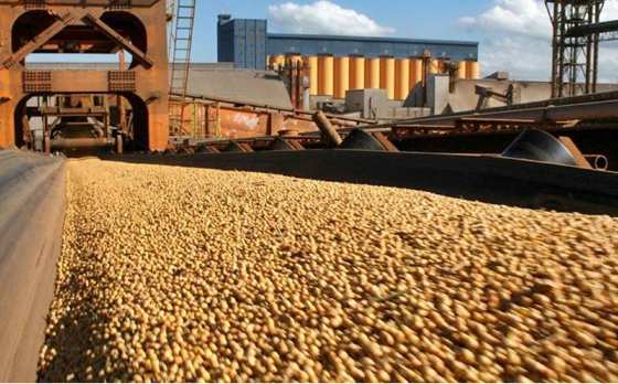 MT:  NO TRIMESTRE:   Exportações do agro têm novo recorde em MT: US$ 16 bilhões