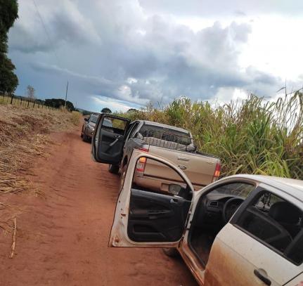 OPERAÇÃO HÓRUS: Motoristas são presos com galos avaliados em R$ 147 mil adquiridos na Bolívia