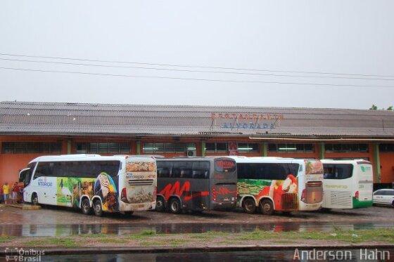 MT:  ÔNIBUS INTERESTADUAL:   TJ cassa liminar que permitia transporte gratuito aos idosos em MT