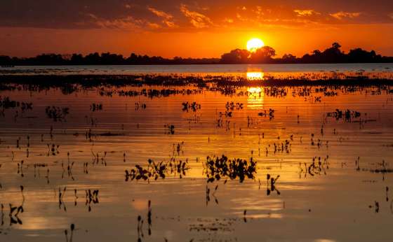 MT:   BID PANTANAL:   Pantanal deve receber US$ 400 mi em saneamento e sustentabilidade