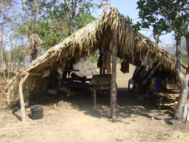 MT:  Em Mato Grosso, agropecuária é o setor com mais casos de trabalho análogo à escravidão, diz relatório