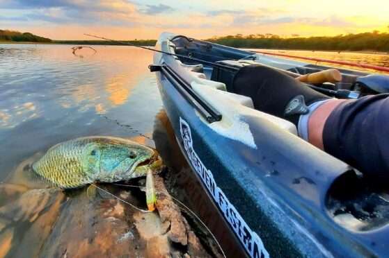 MT:  VETOS DERRUBADOS:   Deputados discutem alternativas para aprovação da lei do “transporte zero” de pescado em Mato Grosso