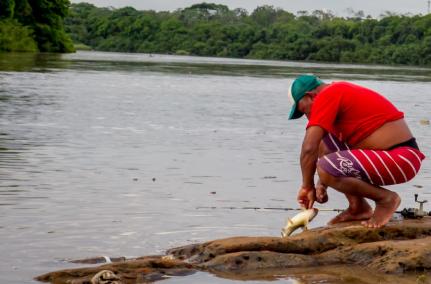 MT:  DURANTE 3 ANOS:   Mudança garante salário mínimo integral para pescadores durante vigência do PL ‘Transporte Zero’