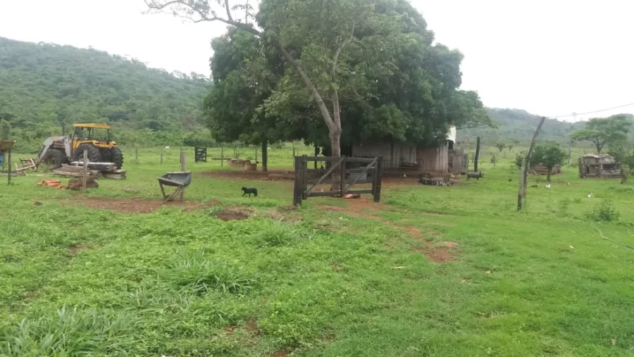 Homem é executado com tiro na cabeça em mata perto de fazenda