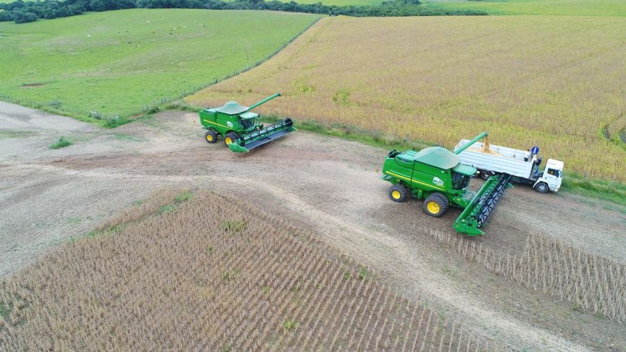 MT:  Ameaça à rentabilidade em Mato Grosso devido à desvalorização da soja e do milho