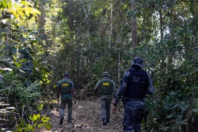 MT:  EM MATO GROSSO:  Quase R$ 1 bi em multas: governo embarga 153 mil hectares