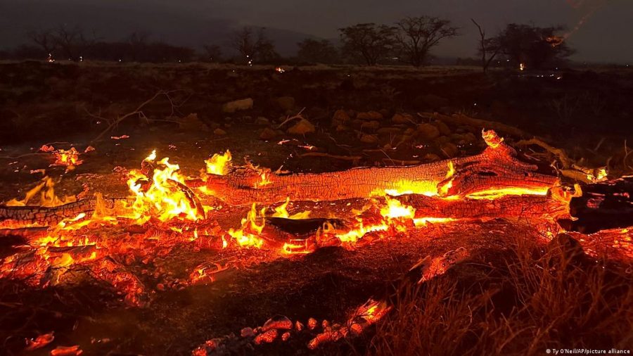 O que causou os incêndios florestais devastadores no Havaí?