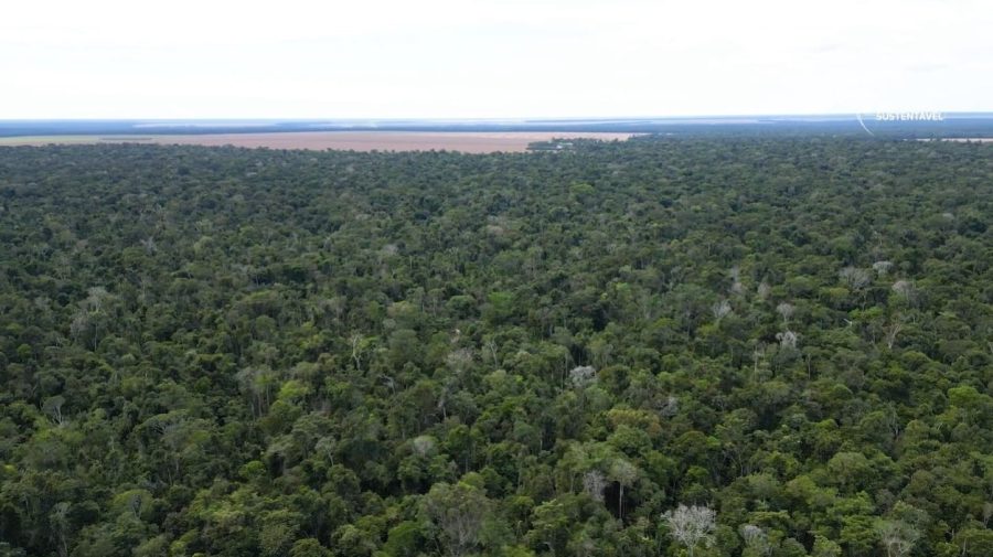 MT é o 1º estado a receber evento para debater iniciativa de fomento ao desenvolvimento sustentável na Amazônia