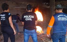 35 Kg de entorpecentes apreendidos em ações policiais são incinerados em cerâmica