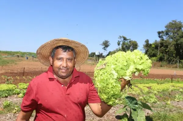 MT:  Investimentos fomentam produção de frutas e hortaliças da agricultura familiar