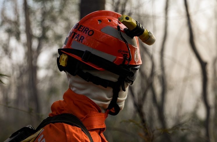 Corpo de Bombeiros combate 44 incêndios florestais neste sábado (28)