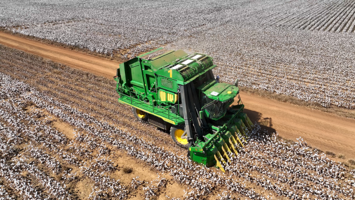 MT:  Algodão:  Preço elevado anima produtores de Mato Grosso