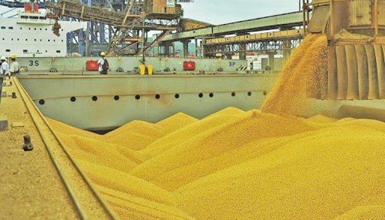 MT:  PRODUÇÃO DO AGRONEGÓCIO:   Sozinho, MT teve 54% das vendas externas de milho e 11% de soja