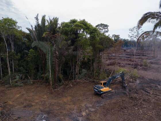 MT:  MEIO AMBIENTE:   MT tem poucos municípios habilitados a receber recursos do Fundo Amazônia