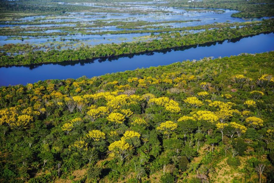 MT:   Cerca de 4 mil propriedades rurais em MT podem ser inviabilizadas por ser consideradas como bioma Pantanal