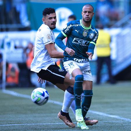 Palmeiras sofreu apenas três derrotas contra o Botafogo desde 2016, sendo duas como visitante; veja retrospecto