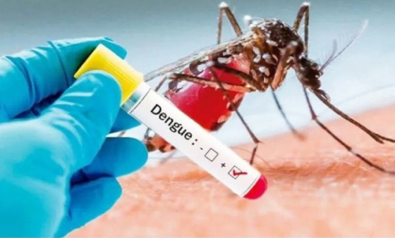 MT:  AVANÇO DA DOENÇA:   Aumentam para 21 as mortes provocadas pela dengue em Mato Grosso