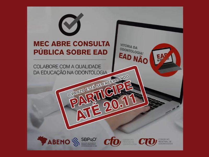 MEC abre consulta publica sobre EAD