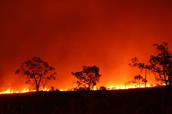 MT:   ESTIAGEM:   Período proibitivo de queimadas em Mato Grosso é prorrogado até 30 de novembro