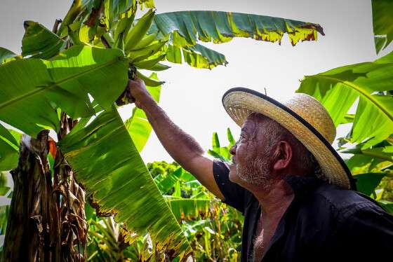 MT:  EDITAL DE R$ 1 MILHÃO:   Cinco projetos de pesquisas na área da agricultura familiar são aprovados pelo Governo de MT