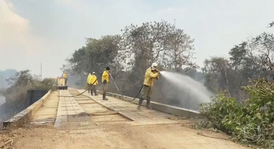 MT:  DEVASTAÇÃO NO BIOMA:   Incêndios atingem Transpantaneira, principal acesso ao Pantanal