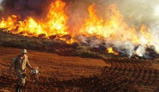 MT:  CALAMIDADE PÚBLICA:   Estado entra em emergência ambiental devido aos incêndios no Pantanal