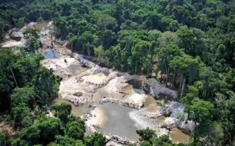 MT:  MEIO AMBIENTE:  Governo pede e deputados aprovam garimpo em áreas de reserva legal